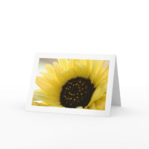 Summer Sunflower Bio Blank Grußkarte