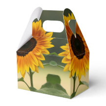 Summer Sunflower Bio Gefallen Box