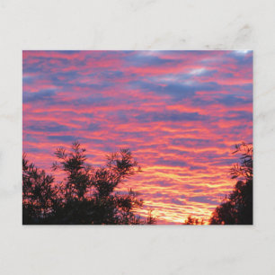 Summer Sunset Postkarte