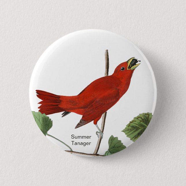 Summer Tanager, Audubon Red Bird, Birdwatcher Bird Button (Vorderseite)