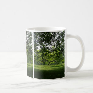 Summer Trees Park Foto Tasse