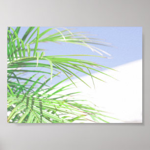 Summer Vibes Palm Tree Blätter Blassgrüne Pastel Poster