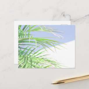 Summer Vibes Palm Tree Blätter Blassgrüne Pastel Postkarte