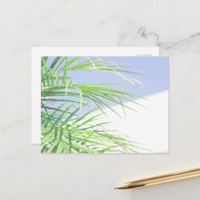 Summer Vibes Palm Tree Blätter Blassgrüne Pastel Postkarte (Vorderseite/Rückseite Beispiel)