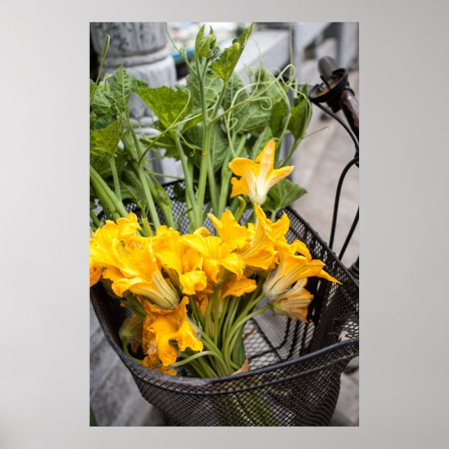 Summer Zuchinni Blossoms Poster (Vorne)