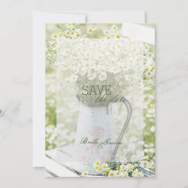 Summerfield Daisies Chamomile Blume Save the Date (Vorderseite)