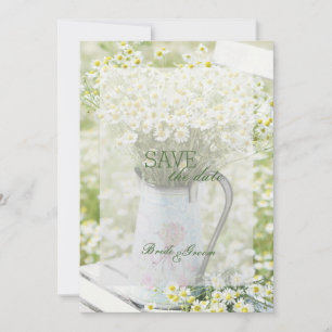 Summerfield Daisies Chamomile Blume Save the Date
