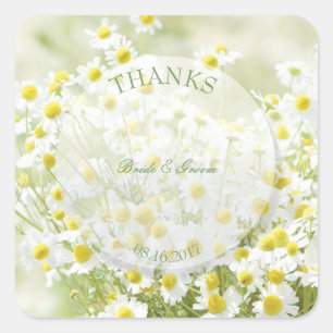 Summerfield Daisies Chamomile Blume Wedding Danke Quadratischer Aufkleber