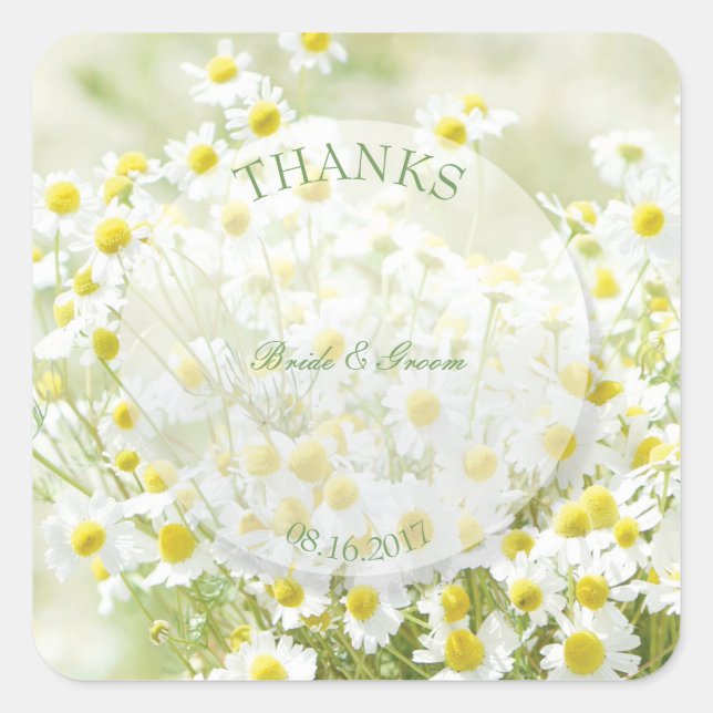 Summerfield Daisies Chamomile Blume Wedding Danke Quadratischer Aufkleber (Vorderseite)