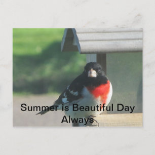 Summers Beautty Postkarte