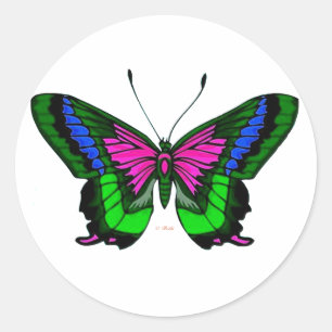 Summers Bright Colors 5 Runder Aufkleber