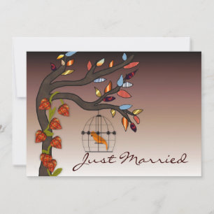 Summers End Just Eried Ankündigung