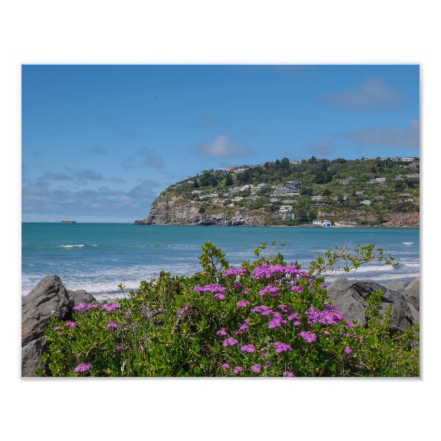 Sumner Beach, Christchurch - Foto Print (Vorne)