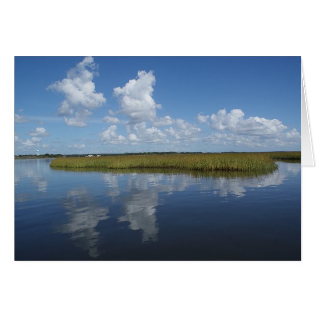 Sumpf mildern II (Vorderseite (Horizontal))