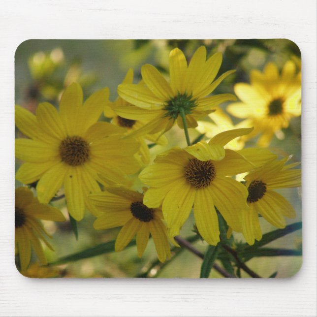 Sumpf-Sonnenblume 2 Mousepad (Vorne)