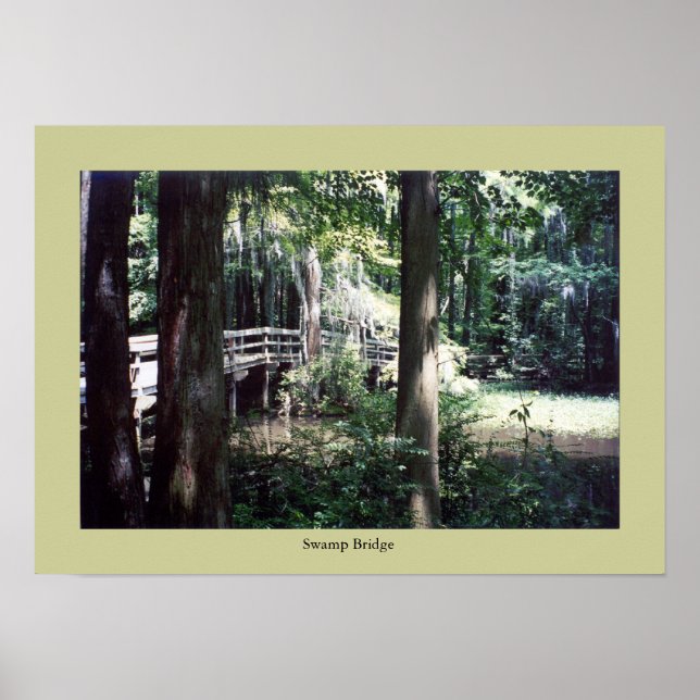 Sumpfbrücke Poster (Vorne)