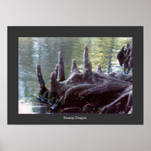 Sumpfdrache Poster