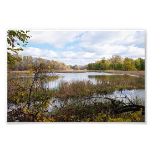 Sümpfe und Wälder des Rückzugsgebiets in Eagan Fotodruck