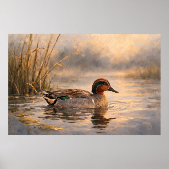 Sumpfente | Küsten-Wildtierkunst | Poster (Vorne)