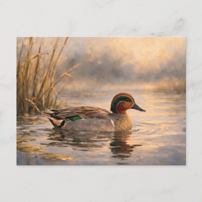 Sumpfente | Küsten-Wildtierkunst | Postkarte (Vorderseite)