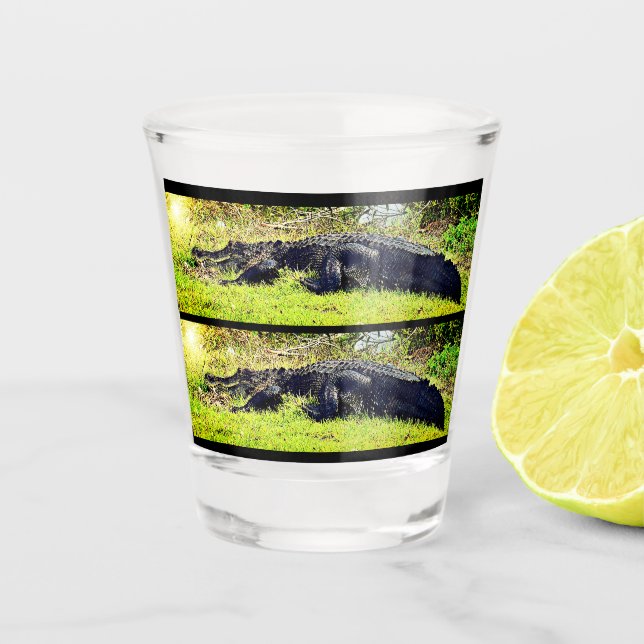Sumpfgebiet-AlligatorSchnapsglas Schnapsglas (Vorderseite)