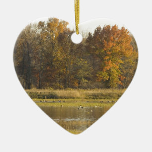 SUMPFGEBIET MIT HERBST-BÄUMEN IM HINTERGRUND UND KERAMIKORNAMENT