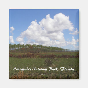 Sumpfgebiete Nationalpark, Florida Magnet