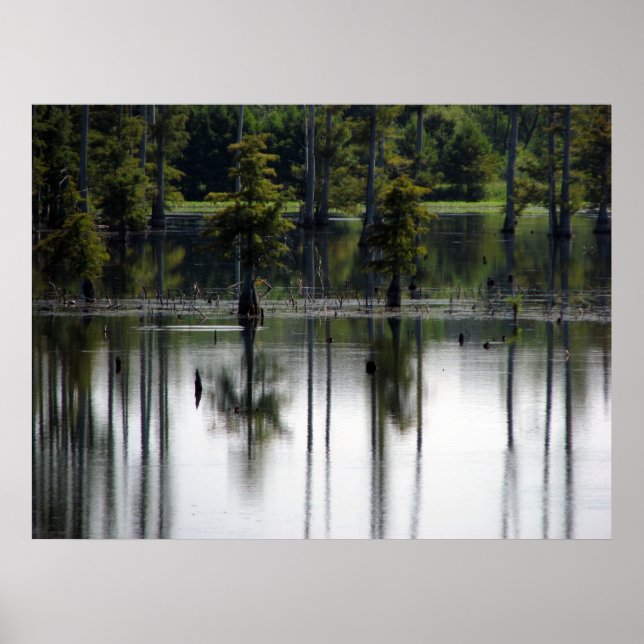 Sumpfland Poster (Vorne)