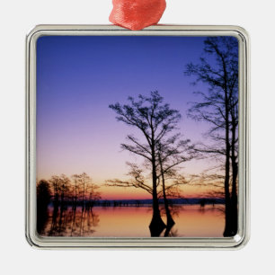 Sumpfzypressen vor Sonnenuntergang, Silbernes Ornament