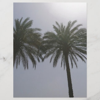 Sun Bäume Ägypten.