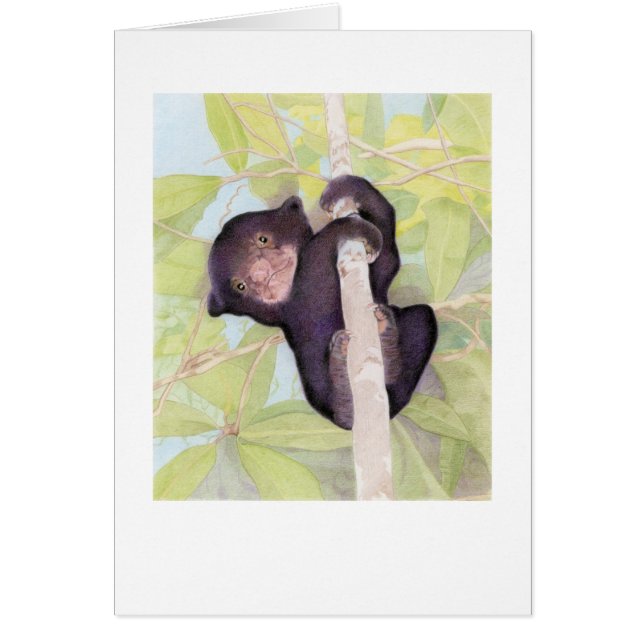 Sun Bear Cub Card (Vorne)
