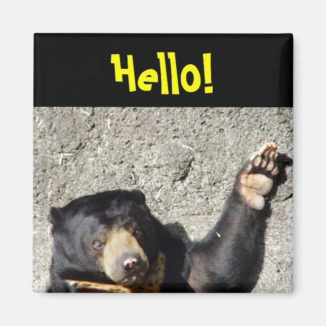Sun Bear Hello Magnet (Vorne)