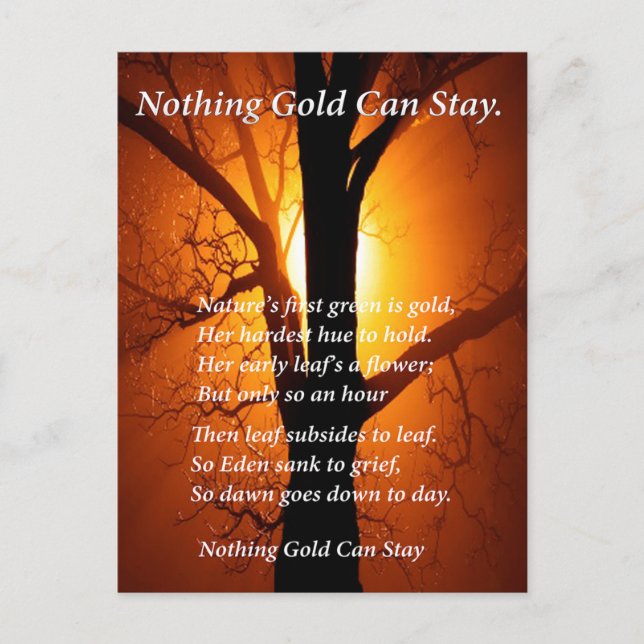 Sun Behind Postkarte (Vorderseite)