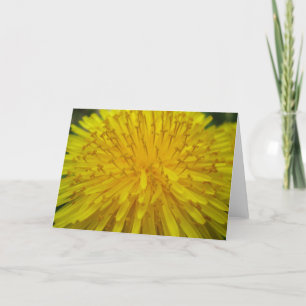 Sun Burst Greeting Card Karte