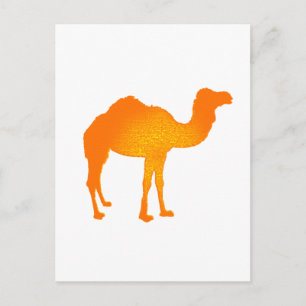 Sun Camel Postkarte