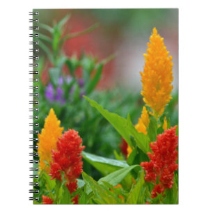 Sun Color Blume Notebook Notizblock