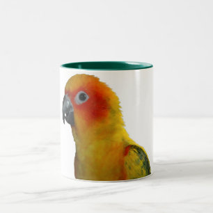 Sun Conure 15 Unze-Tasse Zweifarbige Tasse