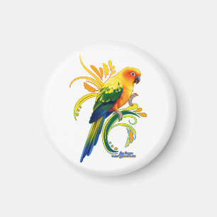 Sun Conure Magnet