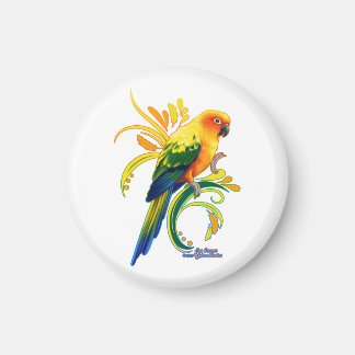 Sun Conure Magnet
