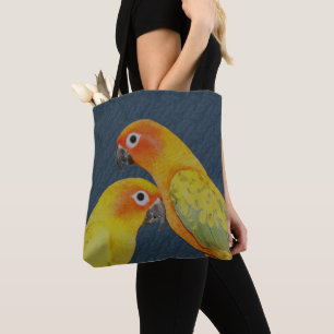 Sun Conure Parrot Pair
