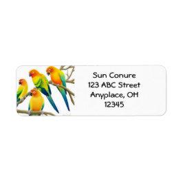 Sun Conure Parrots-Label