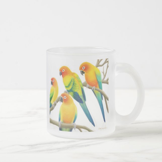 Sun Conure plappert mattierte GlasTasse nach Mattglastasse (Rechts)