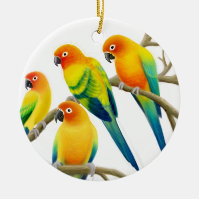 Sun Conure plappert Verzierung nach Keramik Ornament (Vorne)