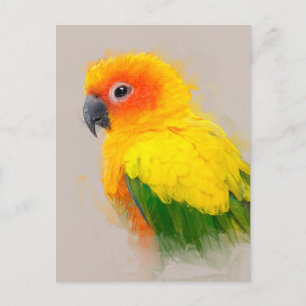 Sun Conure Portrait 001 Postkarte