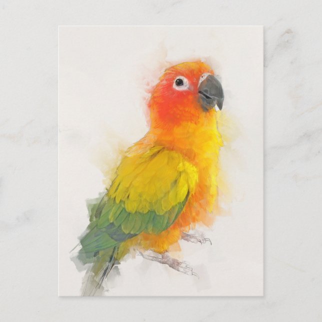 Sun Conure Portrait Postkarte (Vorderseite)