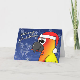 Sun Conure Weihnachtskarte Feiertagskarte