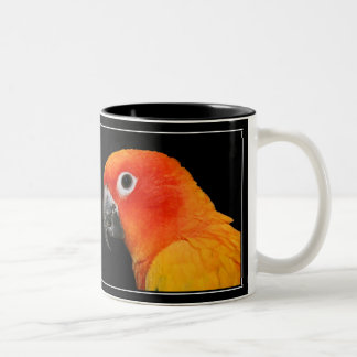 Sun Conure Zweifarbige Tasse