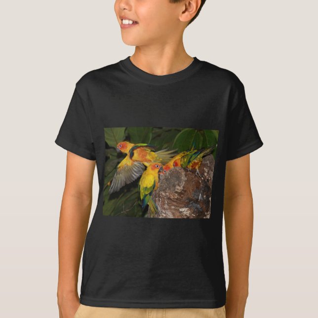Sun Conures T-Shirt (Vorderseite)