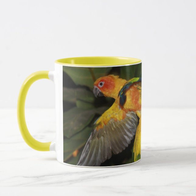 Sun Conures Tasse (Links)