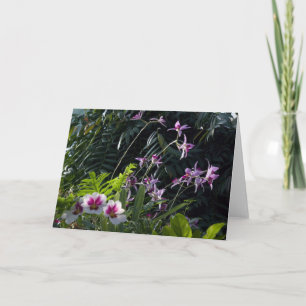 Sun Dappled Orchideen Karte